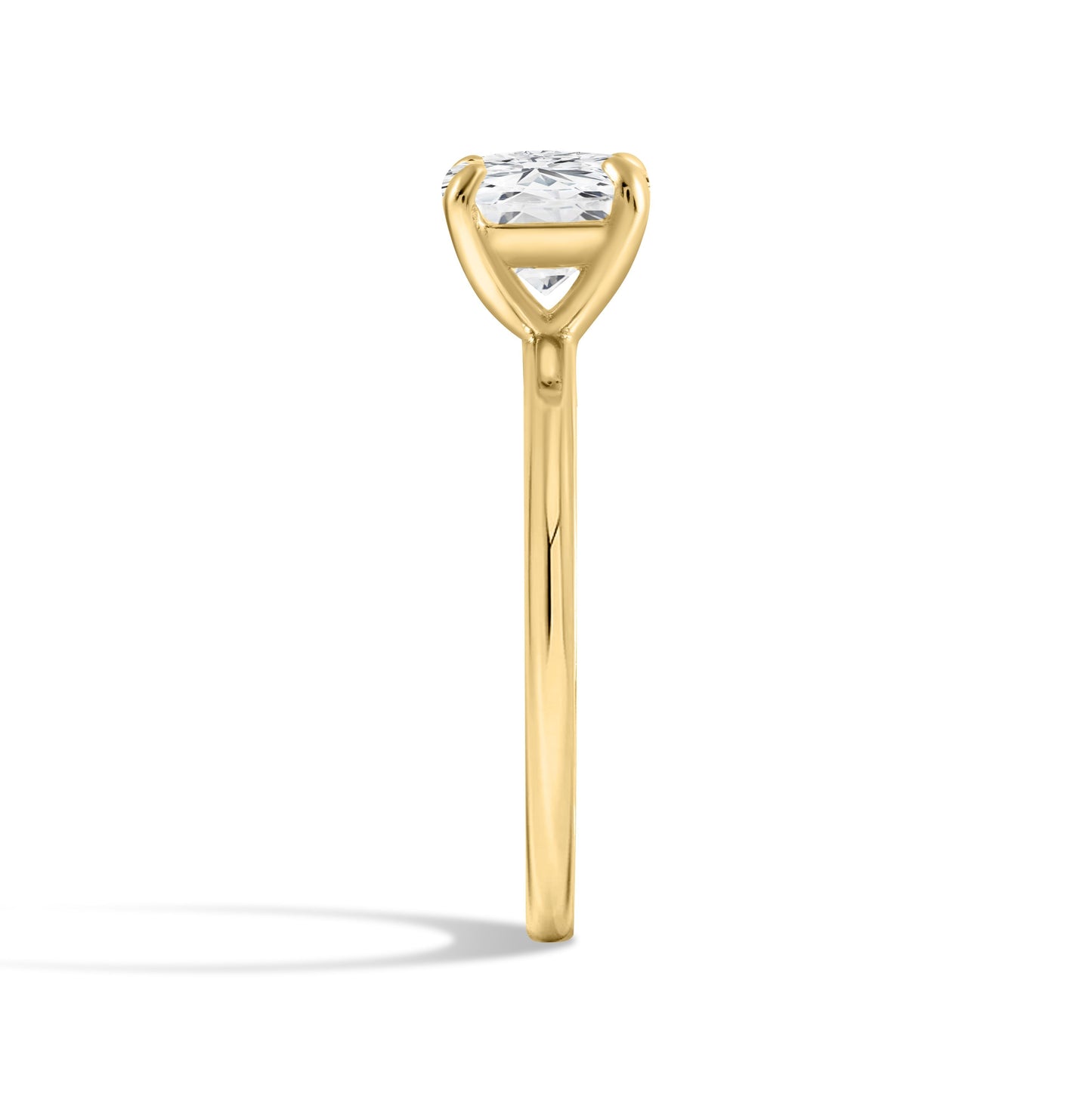 The Aria Ring